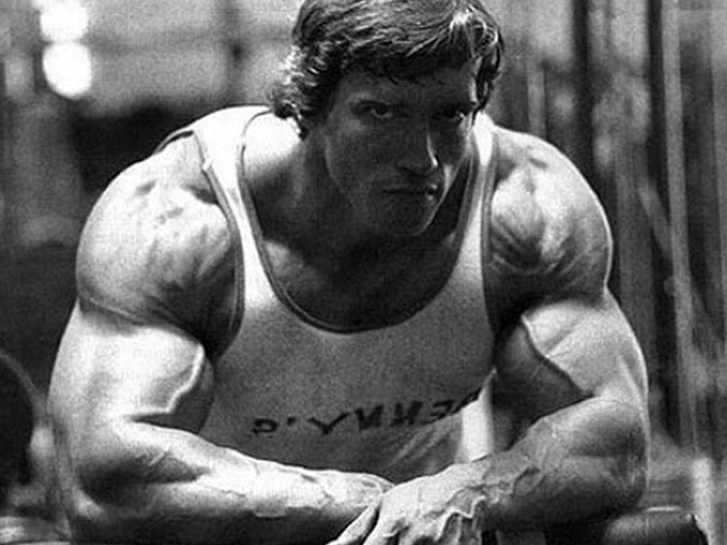 Arnold Bodybuilding, Bodybuilding, Bodybuilding Wallpaper, photo Bodybuilding