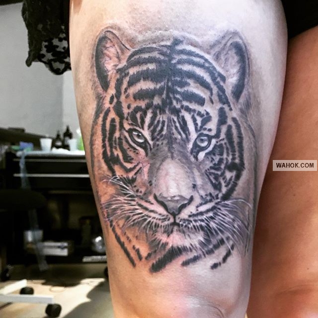  Gambar  20 Gambar  Tato  3d Harimau 2019 Terbaru Keren 