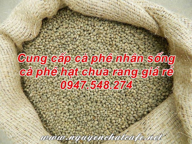 Giá cà phê hạt chưa rang, giá cà phê nhân sống