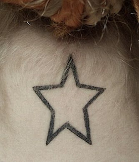 Tattoos of Stars, part 3