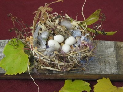 Dove Bird Nest