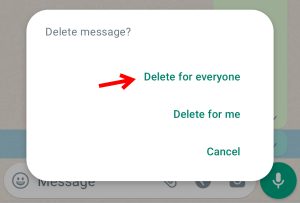 whatsapp message delete kaise kare