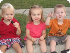 29mo 039