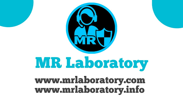 Get 350+ do follow backlink with free - MR Laboratory