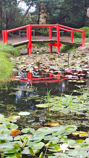 Blue Lotus Water Garden,  Yarra Junction