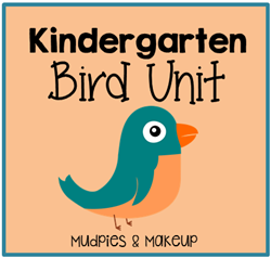 Kindergarten Bird Unit