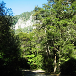 View album