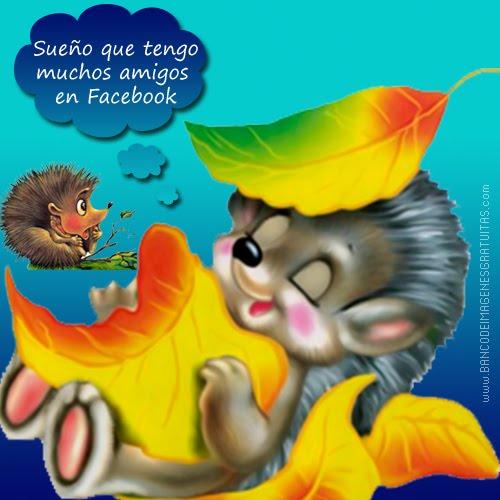 imagenes de amor y amistad para facebook. Nuestra comunidad en Facebook,