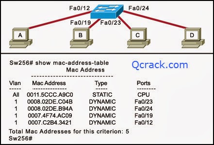 CCNA 1 Final Exam reseausale.blogspot.com