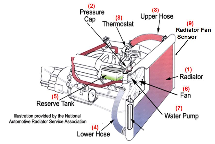 Automotif Information SISTEM PENYEJUKAN