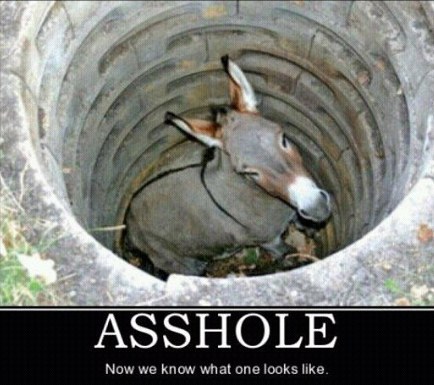 Funny Photo