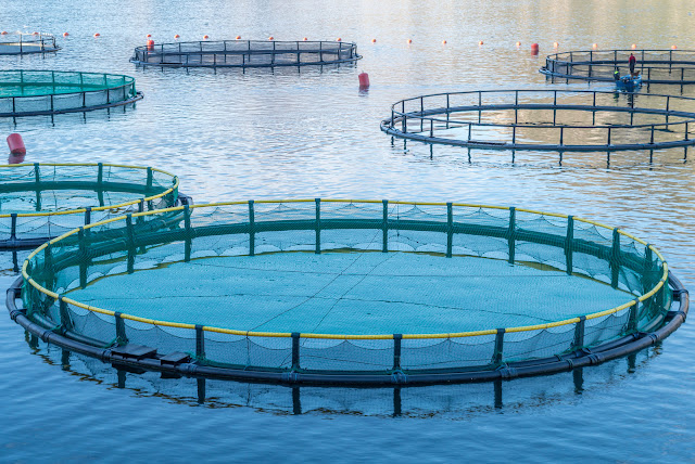 Aquaculture