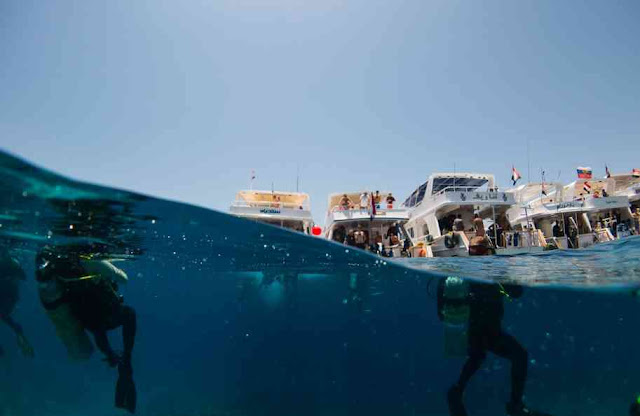 Snorkeling, Sharm El Sheike 