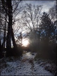 P1140267