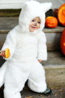 wolfpup childs costume