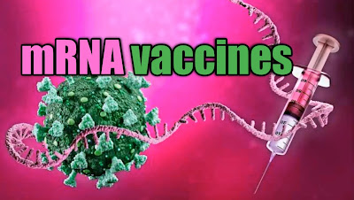 The Future of Vaccines: Messenger RNA Vaccines