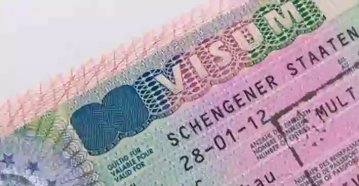 No more appointments: UAE residents could soon apply for Schengen visas online, Dubai, News, Visa, Passport, Online, Application, Gulf, World