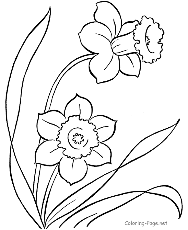 hd spring flower coloring page download hq spring flower coloring page  title=