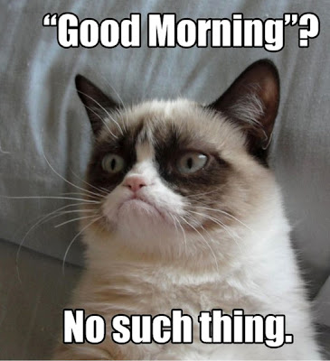 Grumpy Cat Meme