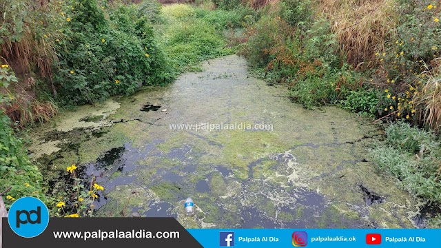 Líquidos cloacales contamina arroyo que atraviesa varios barrios de Palpalá 