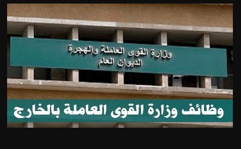 وظائف وزارة القوى العاملة للمصريين للعمل بالدول العربية براتب يصل 10 الاف جنيه - تقدم الان