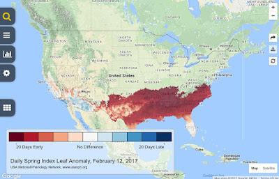 February 12, 2017 early Spring leaf out map