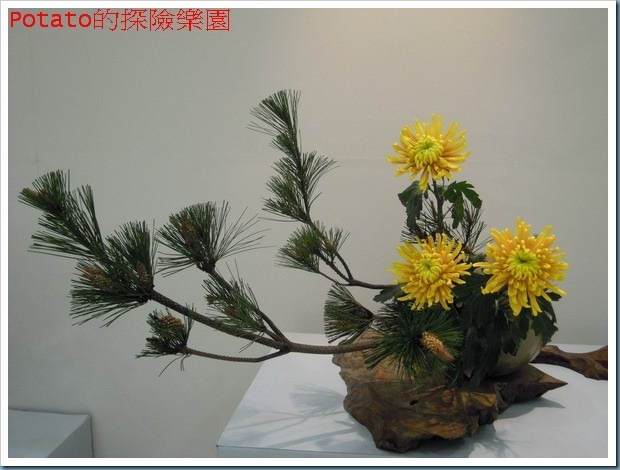 DSCN6160