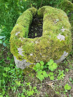 Lorum Church and High Cross Base, Carlow