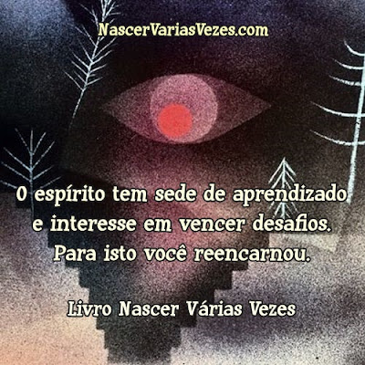 O espírito tem sede de aprendizado e interesse em vencer desafios. Por isto você reencarnou. Livro Espirital