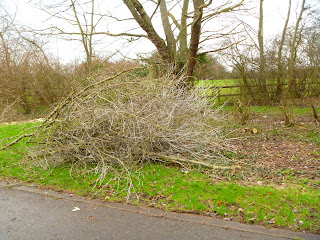 Woodland clearance by council on proposed teenager play area