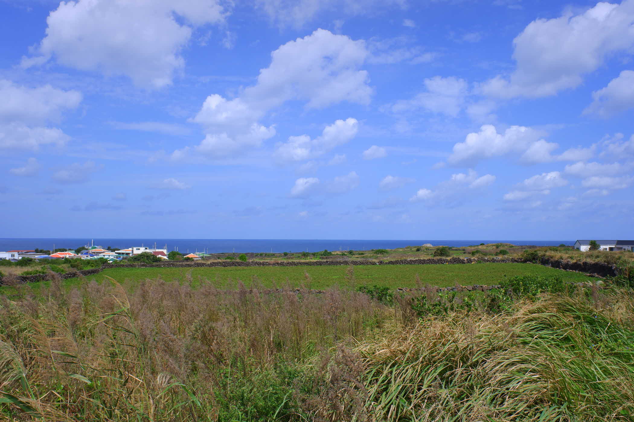 jeju