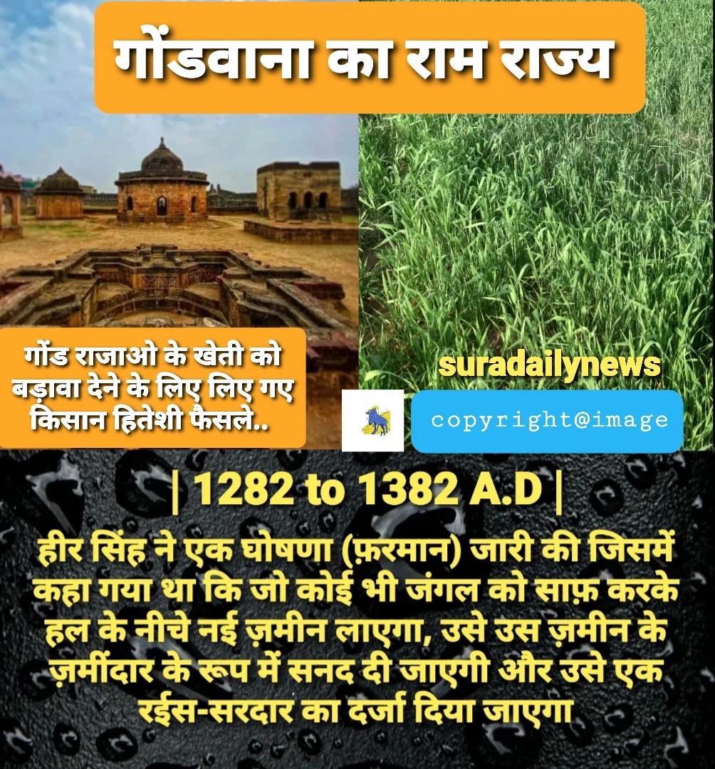 गोंड राजाओ ने खेती को बड़ावा देने के लिए... लिए गए किसान हितेशी फैसले..   आपने अभी तक सुना होगा कि यह काल मुस्लिम अक्रांताओ का एेसा युग था, ज़िसमें सबसे ज्यादा हिन्दूओ के रेप बलात्कार किए गए परंतु गोंडवाना में गोंड वंश के संरक्षण में वहां के नागरिक और ग्रामीण खुश और समृद्ध थे..  हीर सिंह ने एक घोषणा (फ़रमान) जारी की जिसमें कहा गया था कि जो कोई भी जंगल को साफ़ करके हल के नीचे नई ज़मीन लाएगा, उसे उस ज़मीन के ज़मींदार के रूप में सनद दी जाएगी और उसे एक रईस-सरदार का दर्जा दिया जाएगा। तालाब बनाने वाले को उतनी ही जमीन इनाम में दी जाती थी जितनी कि टंकी से सींची जा सकती थी।  इन प्रोत्साहनों के जल्द ही परिणाम हुए।  घने जंगल को काट दिया गया और लगभग 5,000 वर्ग मील के क्षेत्र को कवर करते हुए बीस नए भूमि स्वामित्व-जमींदारी स्थापित किए गए।  व्यक्तियों के स्वामित्व वाली भूमि की सीमाओं का अच्छी तरह से सीमांकन किया गया था।  कुओं और नहरों का निर्माण करने वालों को स्वतंत्र रूप से भूमि अनुदान दिया जाता था।  History source- Chandrapur Gazzeteer( maharastra )