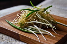 Delicious Slimming: 5 Bean Sprout Menu Pairings Revealed