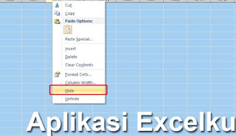 Cara Menyembunyikan Baris atau Kolom Di Lembar Kerja Excel