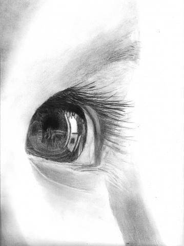 eyes photo gallary pencil drawings eyes imge gallarypencil drawings