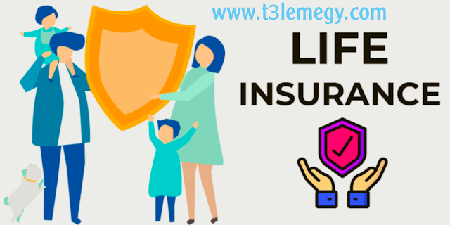 Life Insurance | Overview and Tips
