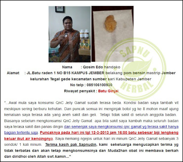 Obat Infeksi Ginjal Alami