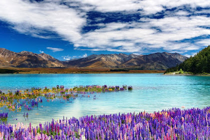 Lake Tekapo Town in the South Island, New Zealand