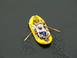 IMG_3515 (Medium)