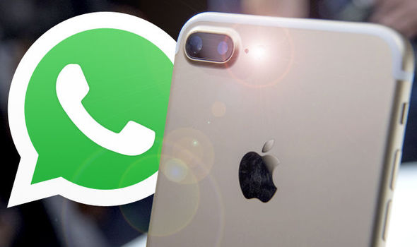 WhatsApp Akhirnya Resmikan Fitur Kirim Gambar  GIF Untuk iOS