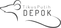 https://tikusputihdepok.blogspot.com/2017/03/jual-tikus-putih-depok.html