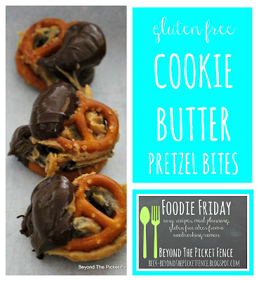 gluten free, cookie butter, pretzels, munchies, gluten free snack, http://bec4-beyondthepicketfence.blogspot.com/2016/04/foodie-friday-gluten-free-cookie-butter.html