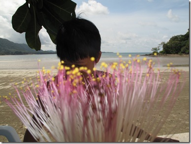 KAw Kaang Flower, Lanta