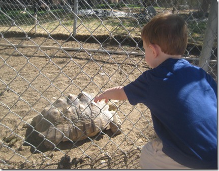 08 26 12 - Sierra Safari Zoo (19)