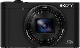 Sony Cybershot DSC-WX500/B 18.2MP Digital Camera (Black) 