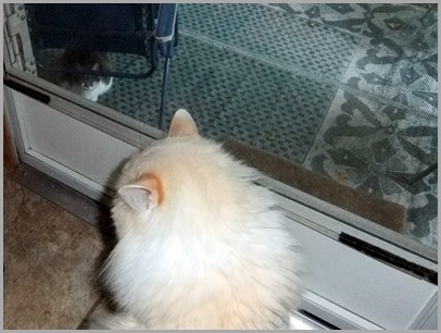 The Sit-Off