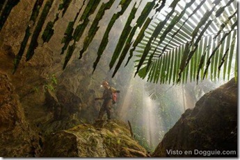 cuevas-vietnam-6