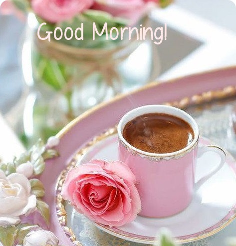Romantique Messages Bonjour Et Souhaite De Bon Matin Avec Images