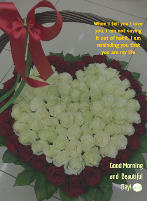 this image is all about good morning love messages for girlfriend