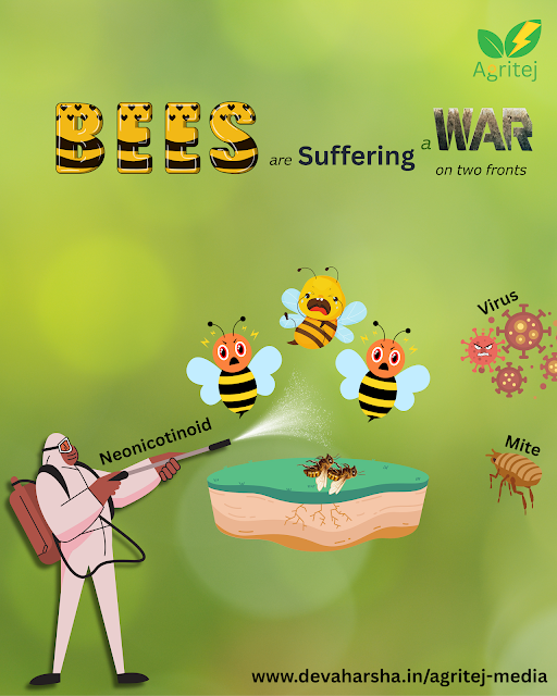 An illustration of a honeybee facing two threats: a Varroa mite parasite and a cloud of neonicotinoid pesticides.